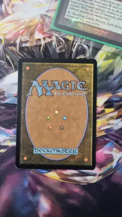 misty rainforest mtg Borderless Foil Mh2 - Image 2