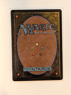 Wan Shi Tong, Librarian - FOIL - Magic the Gathering Avatar MTG TLA - Image 2