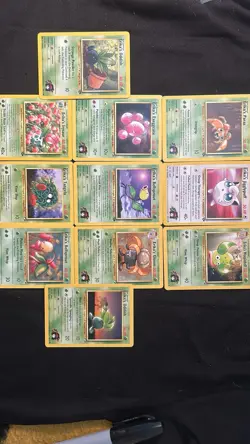 Erika’s Training Cards! Huge Pokemon Lot Exclusives Erika’s! - Image 1