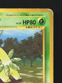 Bayleef No.153 HP Neo Genesis Japanese Pokemon Card TCG - Image 5