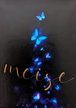 Raiden Genshin Impact Mei Se Goddess Story Waifu UR-03 Spicy! TCG Single Card - Image 2