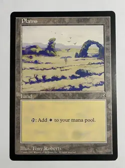 MTG Plains 6x9 Oversized Arena League Promo Magic The Gathering LP - Image 1