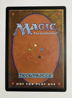 MTG Plains 6x9 Oversized Arena League Promo Magic The Gathering LP - Image 2