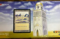 MTG Plains 6x9 Oversized Arena League Promo Magic The Gathering LP - Image 3