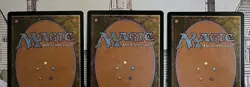 MTG Pili-Pala x3 LP/NM ~Shadowmoor (Magic the Gathering)*Free Shipping* - Image 5