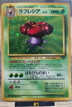 Pokemon Japanese Jungle Holos *8 Card Lot* - Image 3