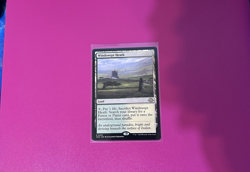 MTG *Windswept Heath* -Modern Horizons 3 (MH3) #235- NM Regular Rare - - Image 2