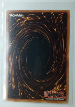 1st Edition Blue-Eyes Toon Dragon - SDP-020 (Starter Deck: Pegasus- First) LP NM - Image 2