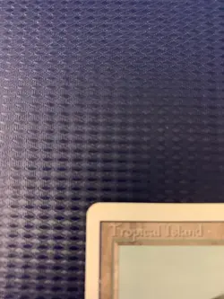 MTG English Tropical Island Light Play Normal Revised - Image 2