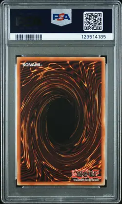 2025 YU-GI-OH! BLMM-BATTLES OF LEGEND: MONSTER MAYHEM #EN008 DARK PALADIN PSA 10 - Image 2