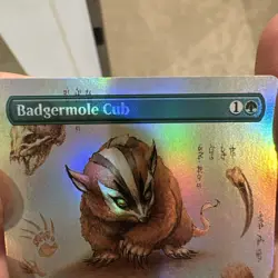 Badgermole Cub (Borderless Foil) 0326 TLA - MTG - NM - Image 3