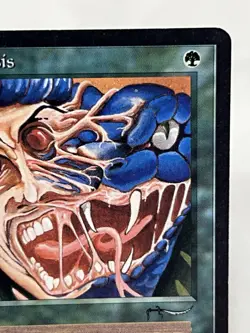 Metamorphosis - Arabian Nights ~LP~ Magic The Gathering MTG - Image 4