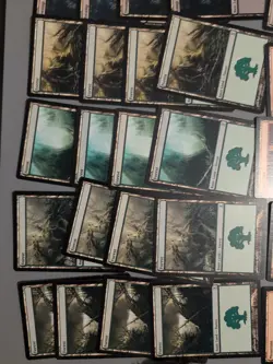 MTG 80 Time Spiral Basic Land Card Lot.All Full Playsets As Shown. - Image 3