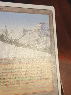 Taiga X1 Mtg Revised Nm/Nm- - Image 5