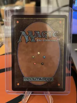 Fierce Guardianship (Showcase) Avatar: The Last Airbender: Eternal-Legal Regular - Image 2