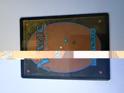 Stomping Ground Edge of Eternities Regular - Image 4