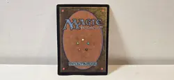 1998 MTG: Windfall English - Urza's Saga (USG) - See Pictures - Damaged - Image 2