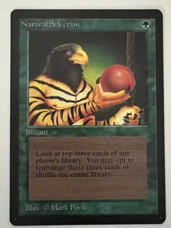 Magic the Gathering MTG Beta Natural Selection NM (Beta Bob) - Image 1