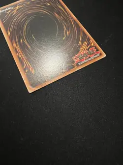 Yu-Gi-Oh! Dark Paladin (LP/MP) DMG-001 Duel Master's Guide Limited Edition - Image 3