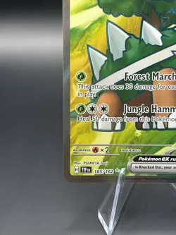 Torterra ex 185/162 - Pokemon SV05: Temporal Forces Full Art Ultra Rare Holo NM - Image 4