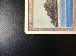 Tropical Island Revised Edition Regular - Image 2