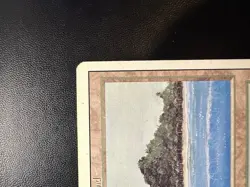 Tropical Island Revised Edition Regular - Image 3