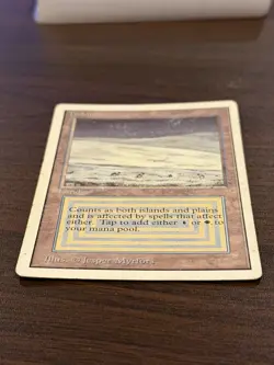 MTG Magic The Gathering MP Revised TUNDRA - Image 4