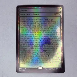 SLD Forest (258) (Full-Text Lands) Secret Lair Drop Foil MTG NM - Image 1