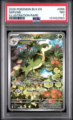 2025 Pokemon SV: BLK EN-Black Bolt #088/086 SERVINE PSA 7 - 131422583 - Image 1