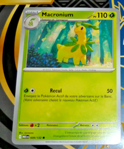 POKEMON MEGA EVOLUTION CARD CARTE MACRONNIUM 009/132 MEG ME01 FR MINT 2025 - Image 1