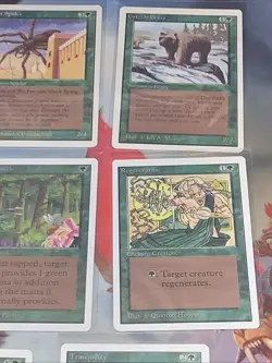 1993 - 14 MTG Unlimited Edition Common Green Cards Lot Near Mint Condition - Image 5