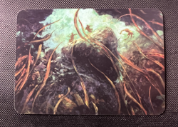 Sorcery Contested Realm Kelp Cavern Elite Foil Arthurian Legends NM - Image 2