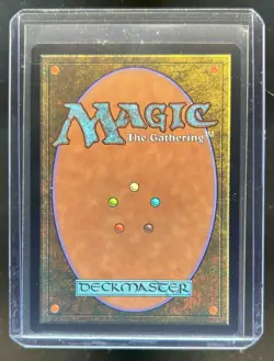 2025 Magic MTG MTG Wastleland Land Secret Lair Borderless #0023 - Image 2
