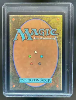 2025 Magic MTG Secret Lair Encyclopedia Land Of 1,000 Lands Foil #0022 - Image 2