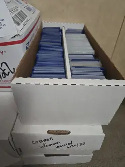 Pokemon Cards Bulk Lot 1000 Cards - Commons and Uncommons No Energies! Some Jap - Image 1