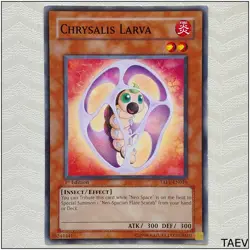 Chrysalis Larva - TAEV-EN010 - Common 1st Edition Yugioh - Image 1