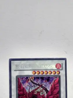 Black Rose Dragon CT05-EN003 Secret Rare Limited Edi LP/ Yugioh - Image 3