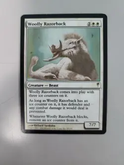 MTG Woolly Razorback Coldsnap 25/155 Regular Rare - Image 1