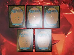 MTG Secret Lair Drop Flower Power In Rainbow Foil, New And Unplayed, In Hand! - Image 2