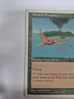 Mtg Birds of Paradise MTG Core Set 5th Edition Regular - Image 4