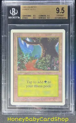 MTG Unlimited Edition 1993 Forest (B) BGS 9.5Q (TRUE QUAD) GEM MINT 93/94 - Image 1
