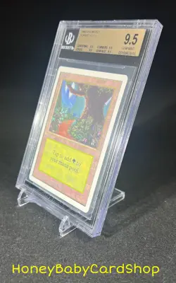 MTG Unlimited Edition 1993 Forest (B) BGS 9.5Q (TRUE QUAD) GEM MINT 93/94 - Image 3
