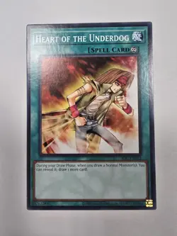 Heart of the Underdog IOC-EN032 Invasion of Chaos (25th Anniversary Edition) - Image 1