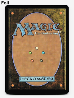 Ba Sing Se (Extended Art) - FOIL - [Avatar: The Last Airbender] MTG ?? - Image 2