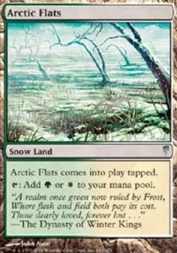 1x Arctic Flats Heavy Play MTG Magic - Kid Icarus - - Image 1