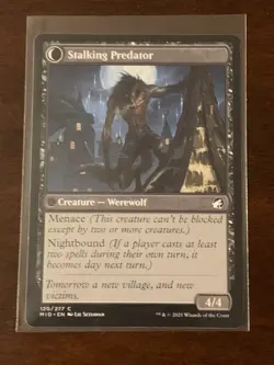 Magic the Gathering Innistrad Midnight Hunt Shady Traveler Stalking Predator - Image 2