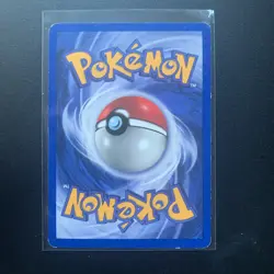 Kabuto 50/62 Pokemon Cards WOTC TCG: Base Set 1999 Fighting Mint Ken Sugimori - Image 3