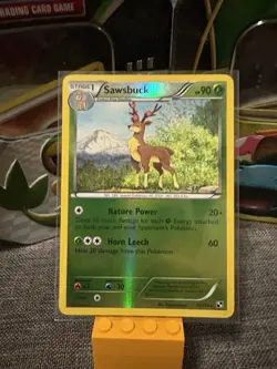 Pokemon TCG Sawsbuck Black & White Card 14/114 Reverse Holo - Image 1