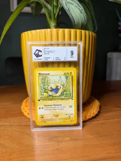 Carte Pokemon Wattouat 58/75 Neo Discovery CCC 9 ED1 - Image 1