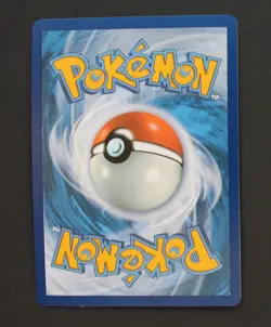 Terapagos ex 173/142 - Stellar Crown Pokemon TCG - NM - Image 2